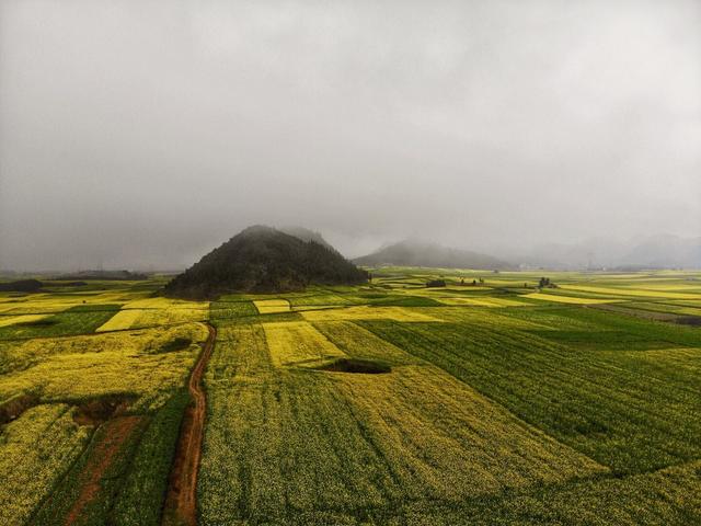 云南最被忽略的地方，春节刚过，这里的100万亩油菜花即将美如画-7.jpg