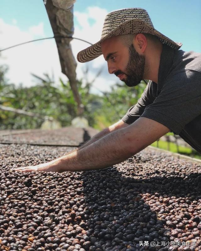 在家做咖啡教程2.0，手把手教你选咖啡豆-28.jpg
