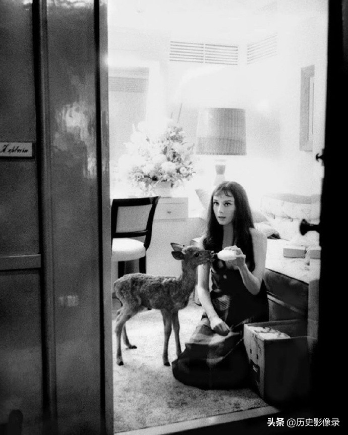 奥黛丽.赫本老照片：1959年和她的宠物小鹿共度美好时光-1.jpg