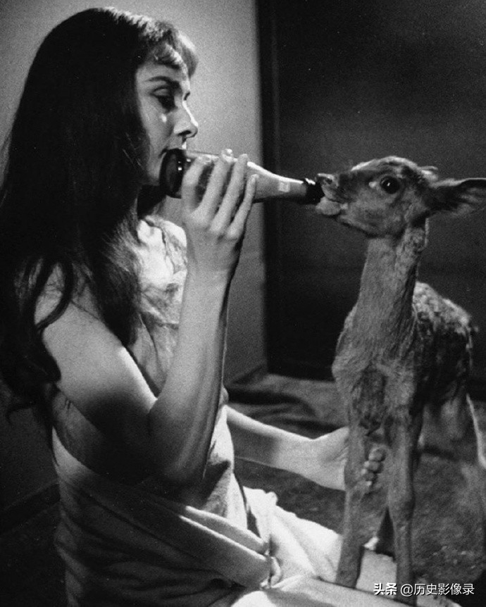 奥黛丽.赫本老照片：1959年和她的宠物小鹿共度美好时光-2.jpg
