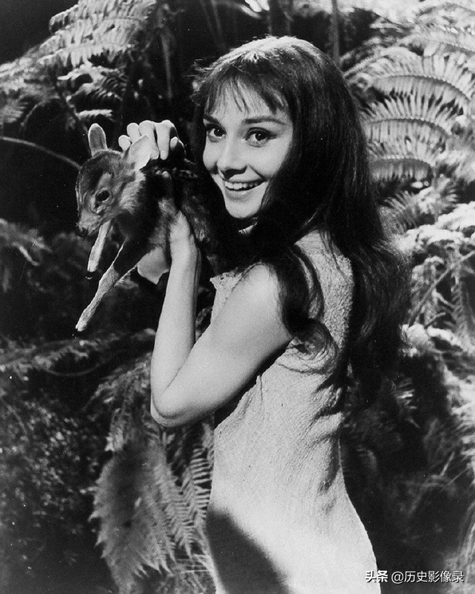 奥黛丽.赫本老照片：1959年和她的宠物小鹿共度美好时光-3.jpg