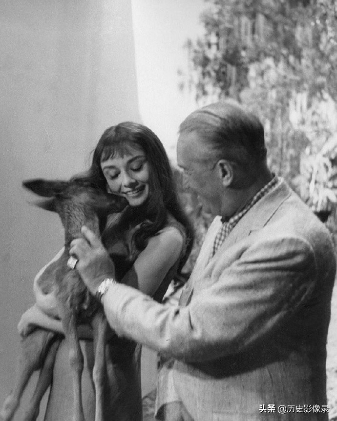 奥黛丽.赫本老照片：1959年和她的宠物小鹿共度美好时光-5.jpg