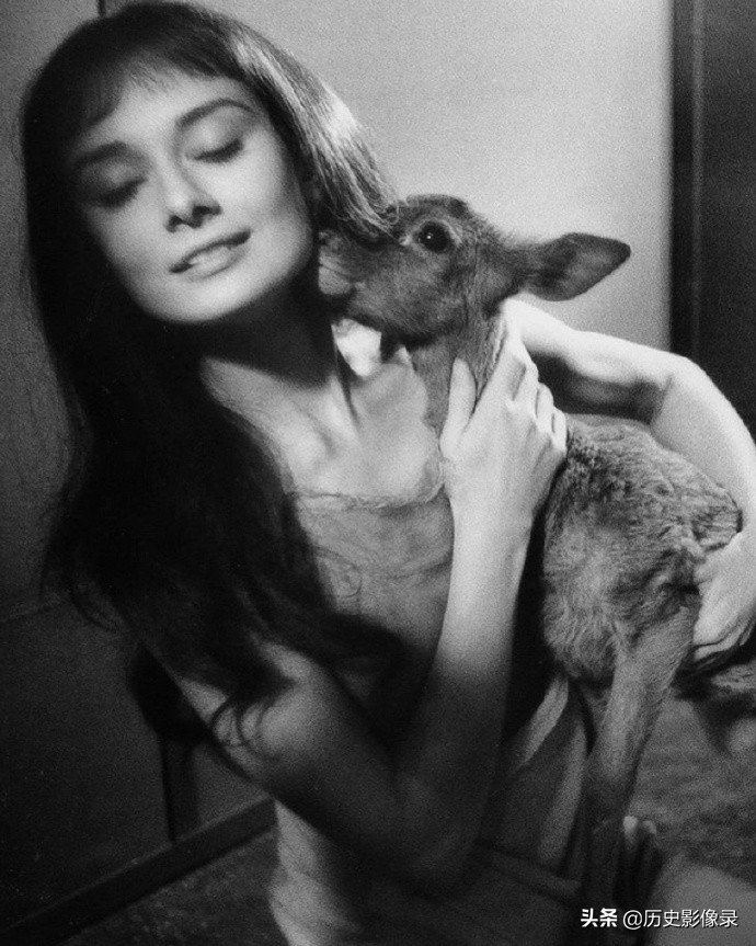 奥黛丽.赫本老照片：1959年和她的宠物小鹿共度美好时光-4.jpg