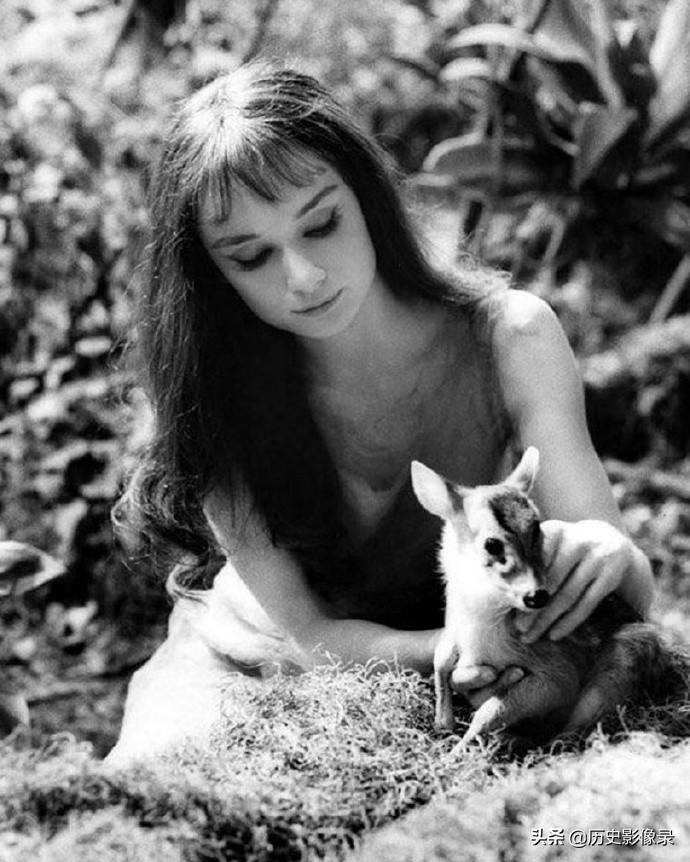 奥黛丽.赫本老照片：1959年和她的宠物小鹿共度美好时光-8.jpg