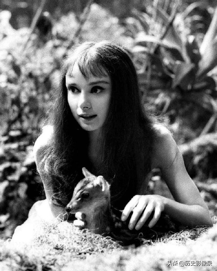 奥黛丽.赫本老照片：1959年和她的宠物小鹿共度美好时光-7.jpg