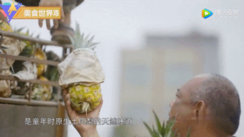 来自中国菠萝之乡的脆甜菠萝，小伙一口吃了三个，一口清爽到胃-11.jpg