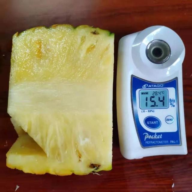 来自中国菠萝之乡的脆甜菠萝，小伙一口吃了三个，一口清爽到胃-16.jpg