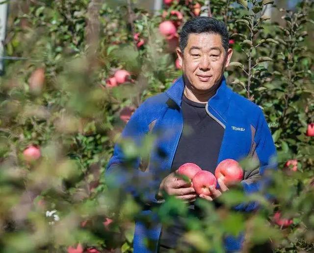 百元一颗的日本天价苹果，国内品质花6年时间独创，唤醒记忆味道-4.jpg
