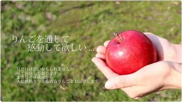 百元一颗的日本天价苹果，国内品质花6年时间独创，唤醒记忆味道-2.jpg