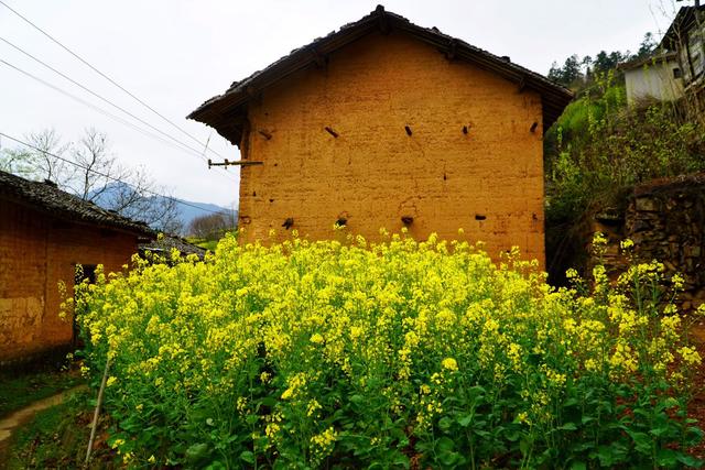 安徽又一无名土楼村被发现，一栋楼60万买不到，风景秀丽鲜为人知-7.jpg