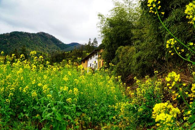 安徽藏在深山里的古村落，风景秀美未被游客发现，堪称世外桃源-4.jpg