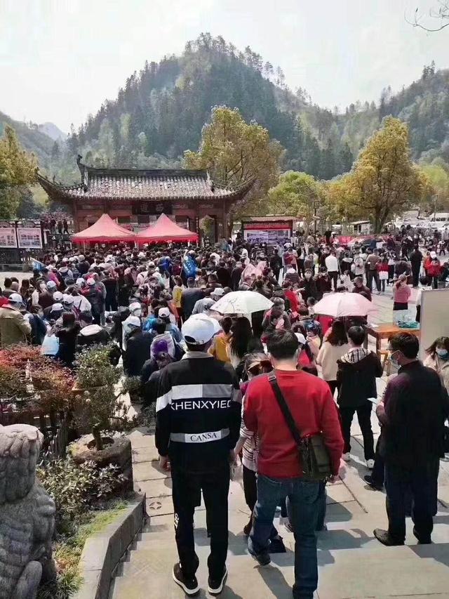 清明假期，不要再来黄山了，到处都是人到处都堵车-1.jpg