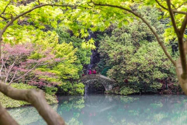 西湖边春日高颜值度假酒店！一房一景躺看森林溪涧茶园。-1.jpg